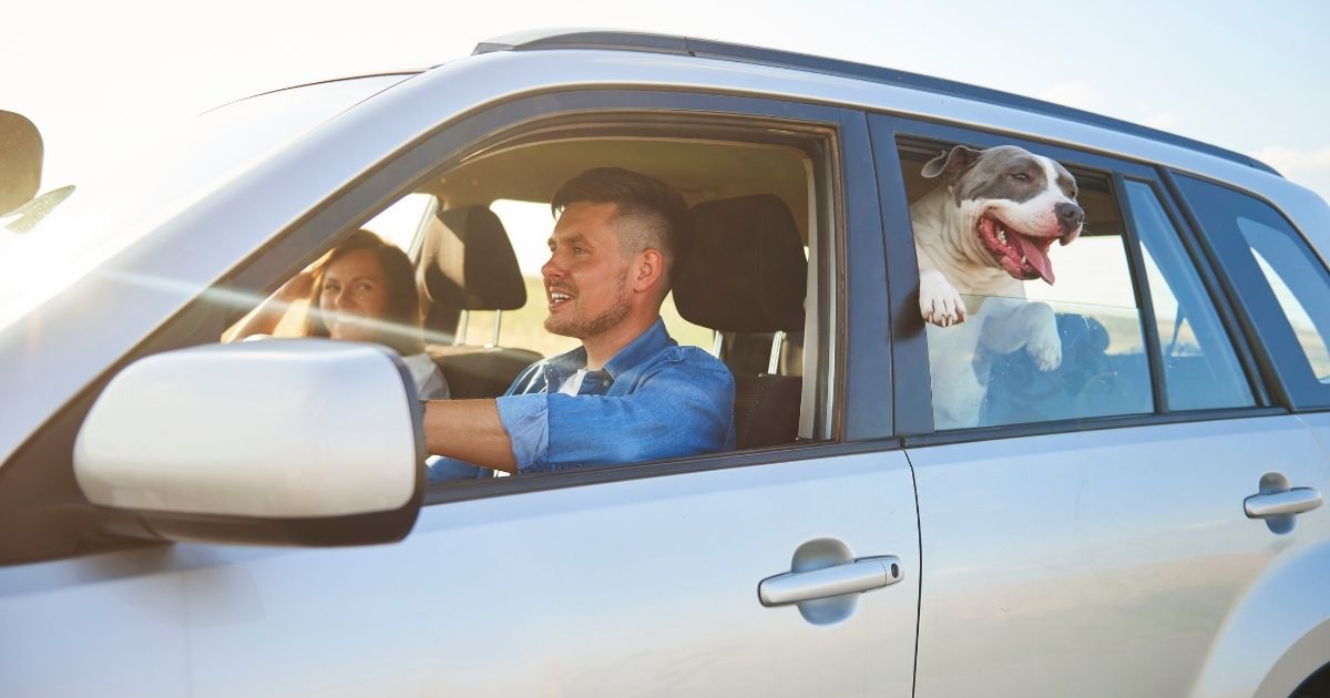 What Are the Most Common Accidents That Happen During the Summer? What Are the Most Common Accidents That Happen During the Summer?