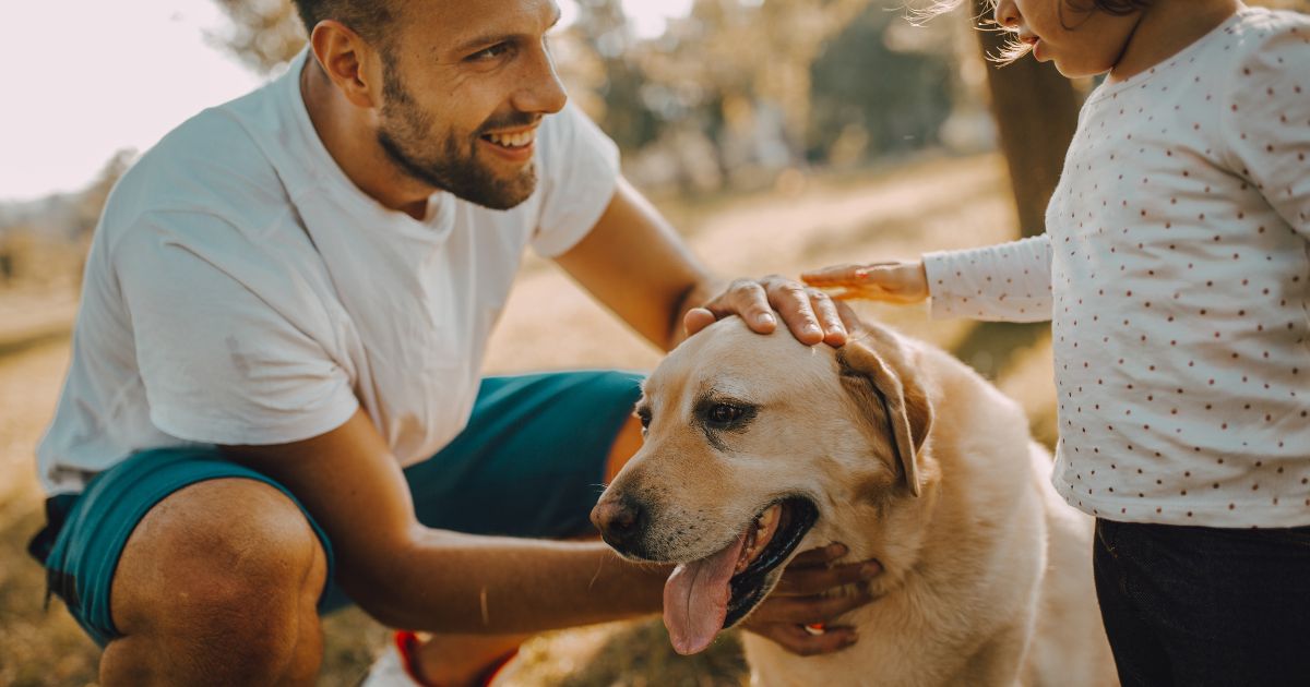 Plan for the Future of Your Pet With the West Chester Estate Lawyers at Eckell Sparks
